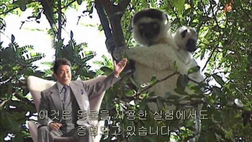[스압] 남녀가 사랑에 빠지는 시간.jpg
