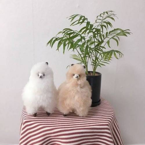 페루산 수제 알파카 인형...JPG