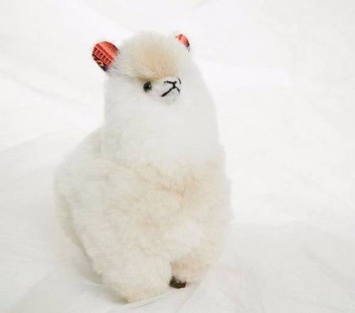 페루산 수제 알파카 인형...JPG