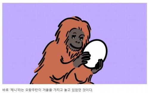 [스압] 강아지와 고양이는 거울 속 자신을 알아볼까?