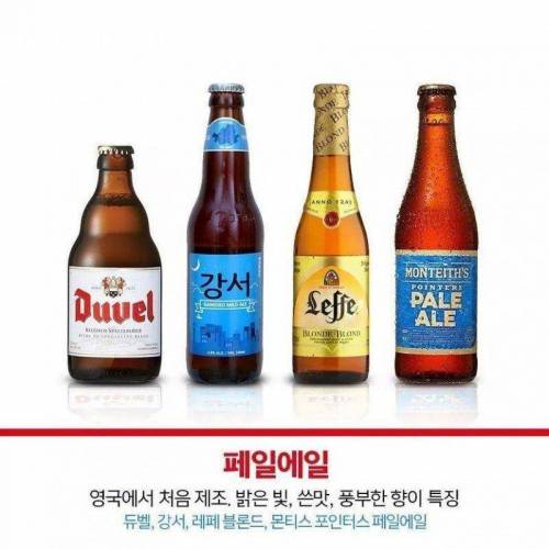 알기쉽게 정리한 수입맥주.jpg