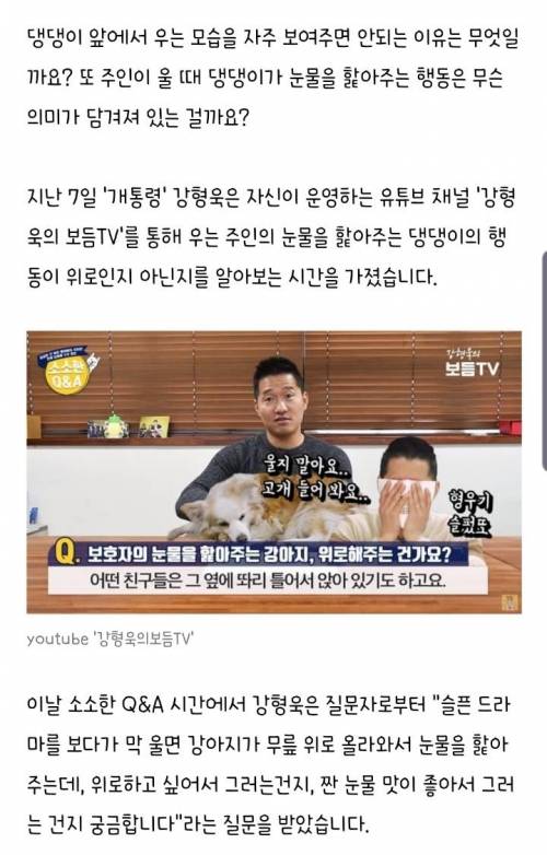 댕댕이 앞에서 우는 모습을 자주 보여주면 안되는 이유