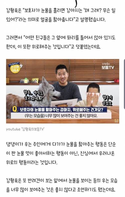 댕댕이 앞에서 우는 모습을 자주 보여주면 안되는 이유