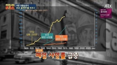 [스압] 담배 필터 개발 이후 폐암 발병.jpg