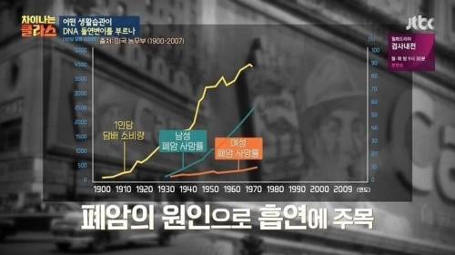 [스압] 담배 필터 개발 이후 폐암 발병.jpg