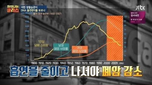[스압] 담배 필터 개발 이후 폐암 발병.jpg