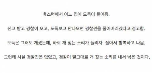 경찰에게 농락당한 범죄자.jpg