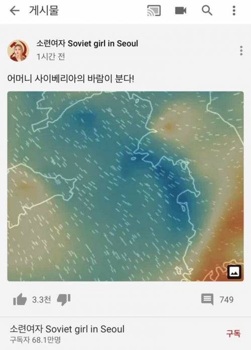 소련여자 유튜브 댓글 근황.jpg