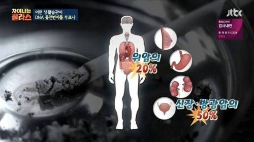 [스압] 담배 필터 개발 이후 폐암 발병.jpg