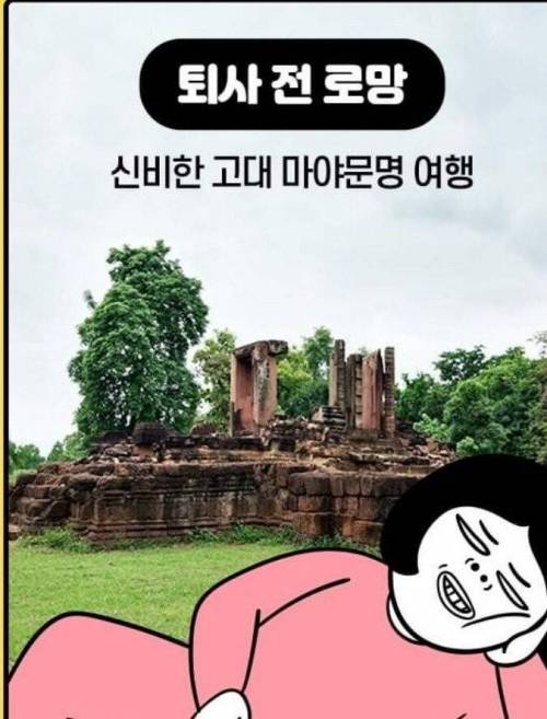 [스압] 퇴사 전 로망vs현실