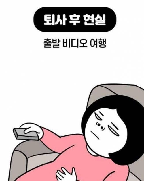 [스압] 퇴사 전 로망vs현실