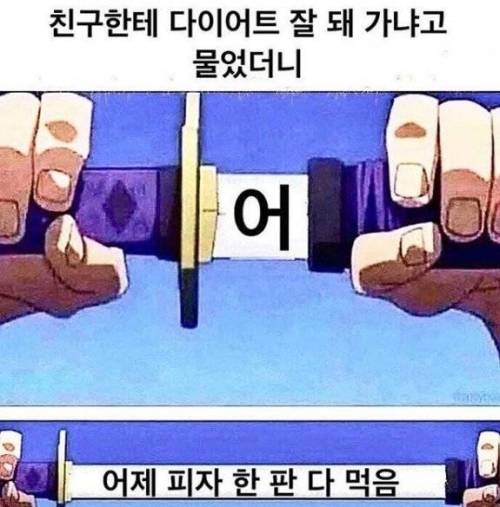 친구한테 다이어트 잘 돼 가냐고 물으니까