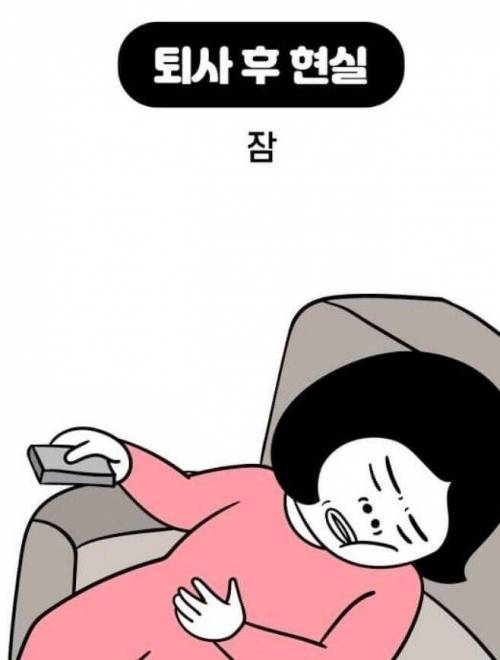 [스압] 퇴사 전 로망vs현실