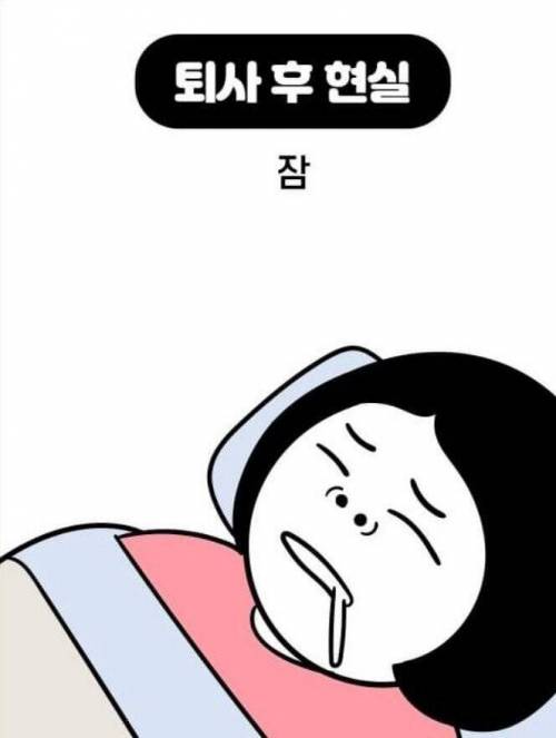 [스압] 퇴사 전 로망vs현실