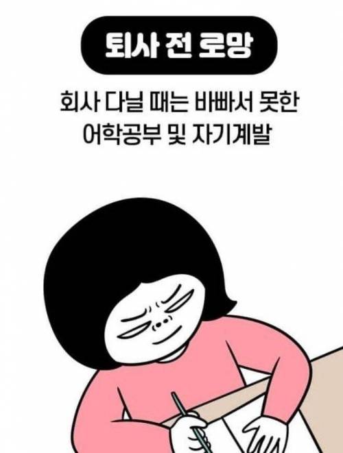 [스압] 퇴사 전 로망vs현실