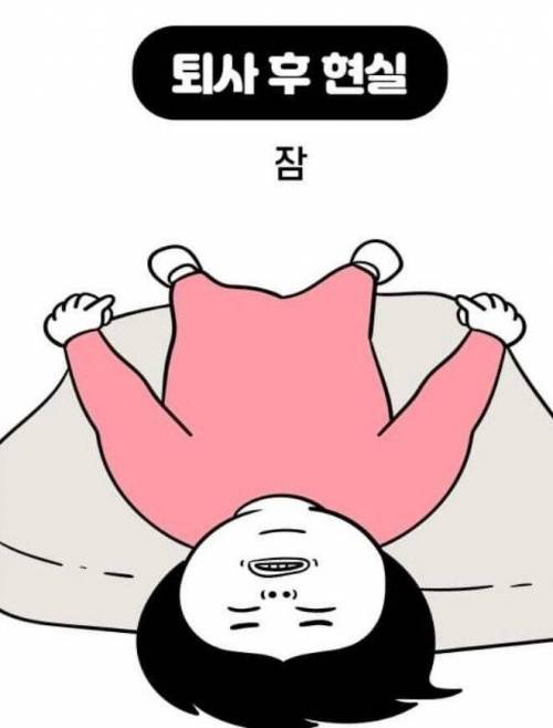[스압] 퇴사 전 로망vs현실