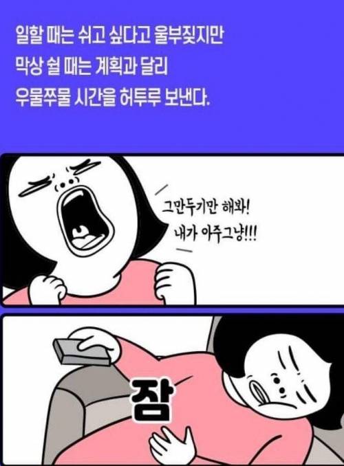 [스압] 퇴사 전 로망vs현실
