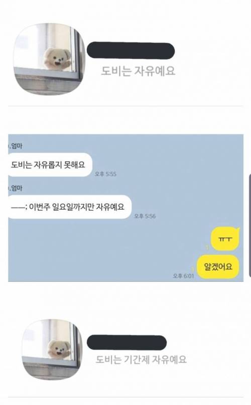 기간제의 설움.jpg