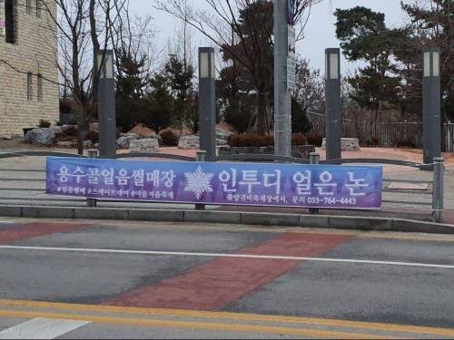 논으로 맨든 썰매장.jpg