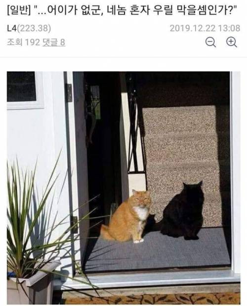 "..어이가 없군. 네놈 혼자 우릴 막을 셈인가?"