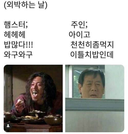 햄스터 두고 외박할때.jpg