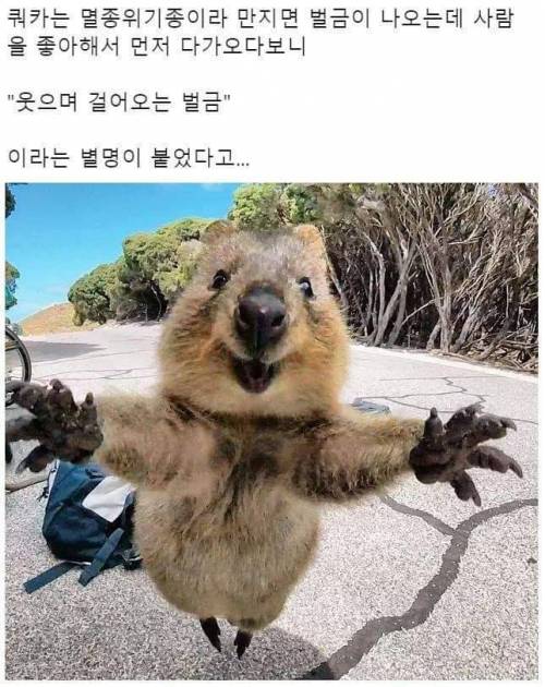 웃으며 걸어오는 벌금.jpg