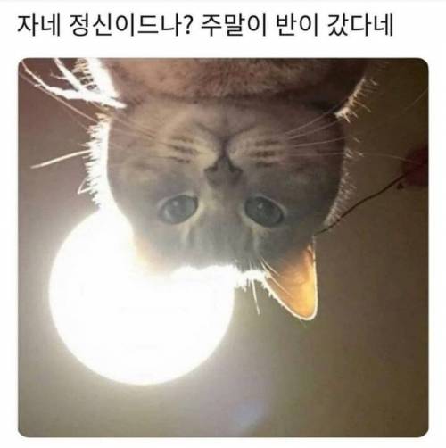 자네 정신이드나?.jpg