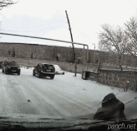 평화로운 불곰국 일상.gif