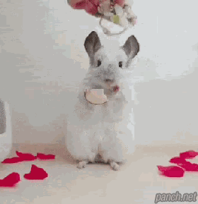 해피뉴이어 2020.gif
