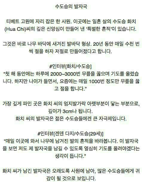 20년동안 한자리에서 절한 결과.jpg
