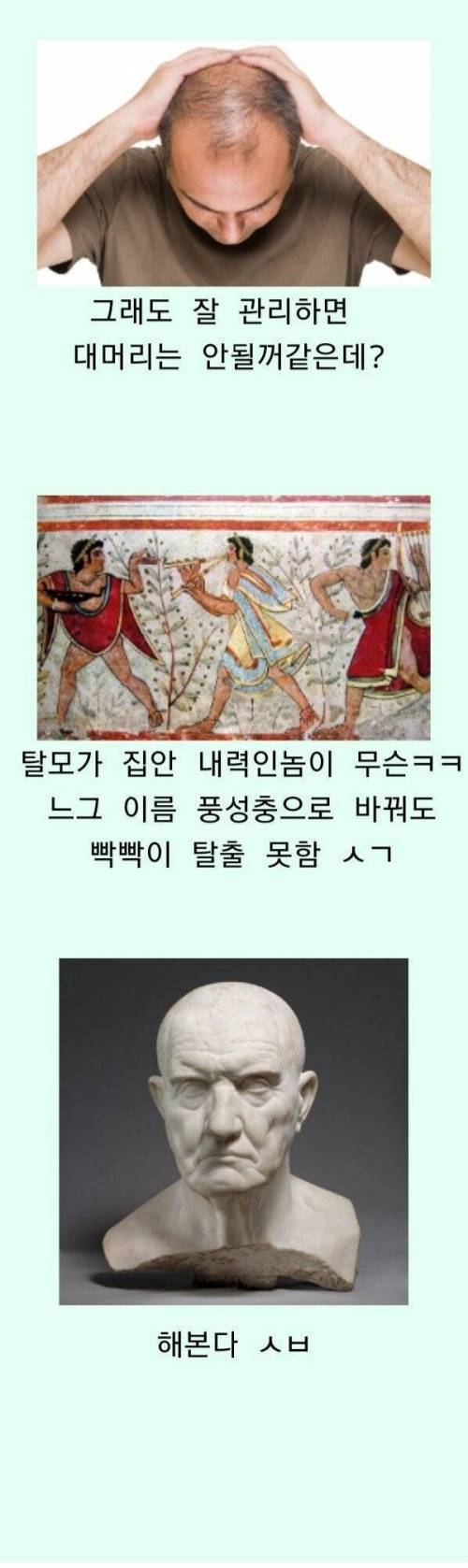 [스압] 풍성충이 되고 싶었던 유럽의 역사.jpg