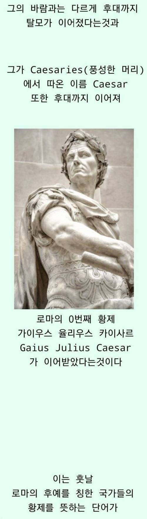 [스압] 풍성충이 되고 싶었던 유럽의 역사.jpg
