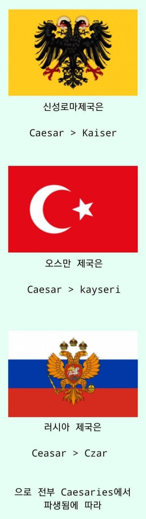 [스압] 풍성충이 되고 싶었던 유럽의 역사.jpg