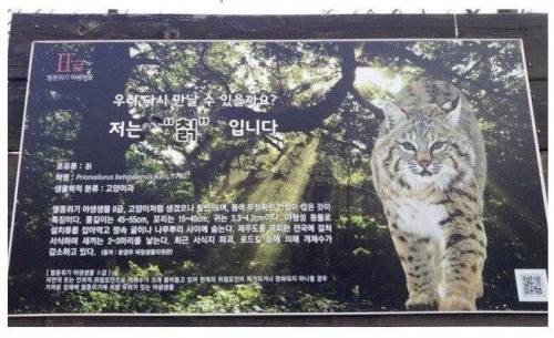 인간의 끔찍한 만행.jpg