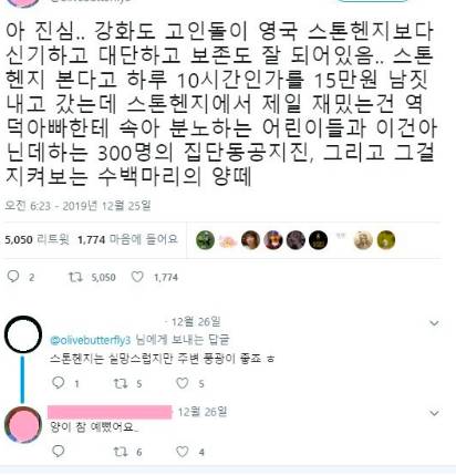 스톤헨지 갈거면 강화도에 가야하는 이유