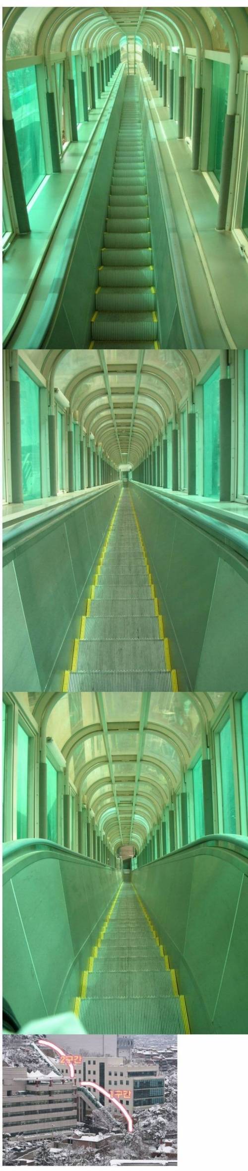 상명대 언덕 위엄.jpg