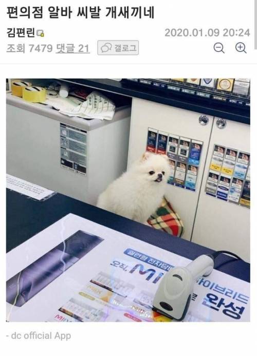알바 ㅅㅂ  ㄱㅆㄲ네.jpg