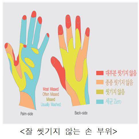 손을 구석구석 오래 씻어야 하는 이유.jpg