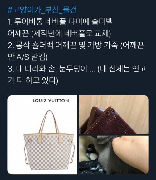 [스압] 어느집 냥아치들의 업적(스압)