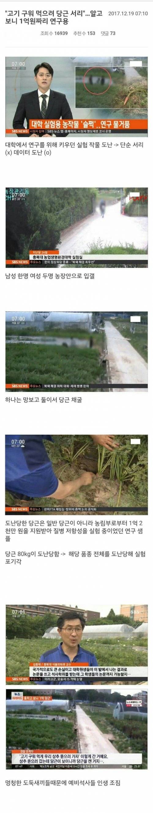 1억짜리 당근 훔친거 후기.jpg