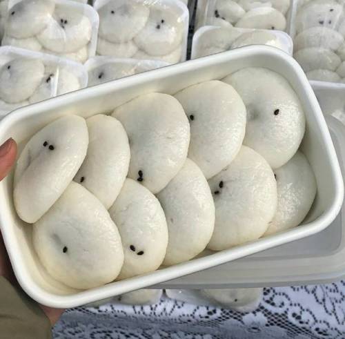 [스압] 제로웨이스트를 실천하고 있는 사람들