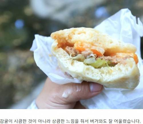 육지촌놈에게 분노하는 제주원주민