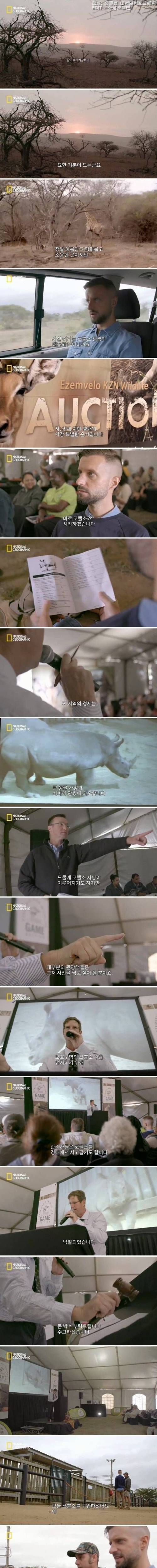 [스압] 코뿔소의 뿔을 자르는 이유 .jpg