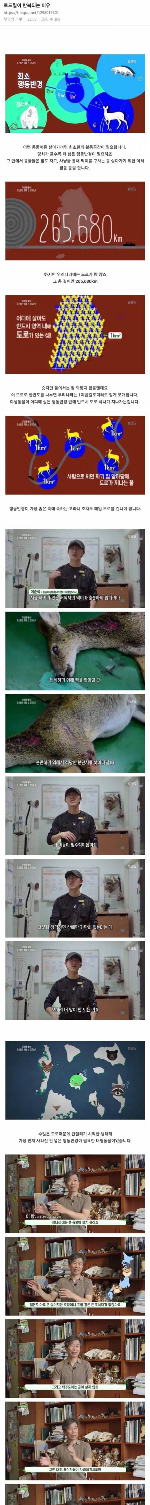 [스압] 로드킬이 반복되는 이유