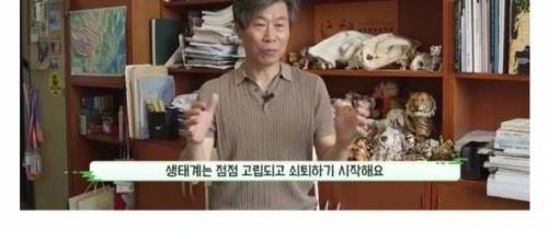 [스압] 로드킬이 반복되는 이유