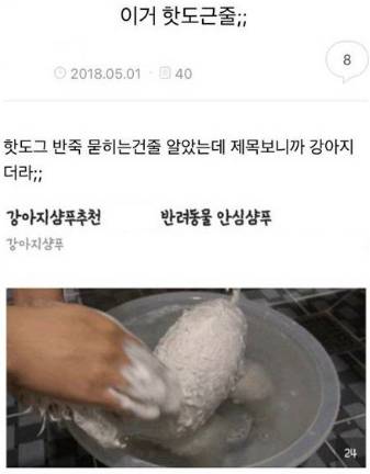 이거 핫도그인줄...jpg