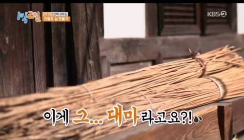 [스압] 대마를 실제로본 딘딘의 반응.jpg