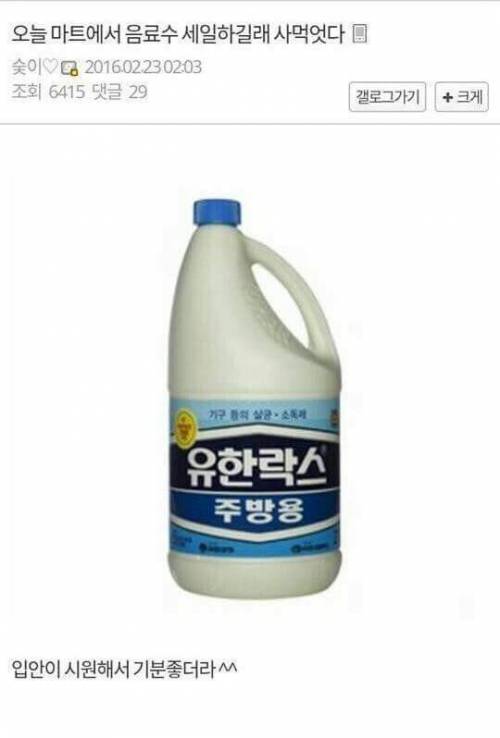 허언증갤러리의 역관광