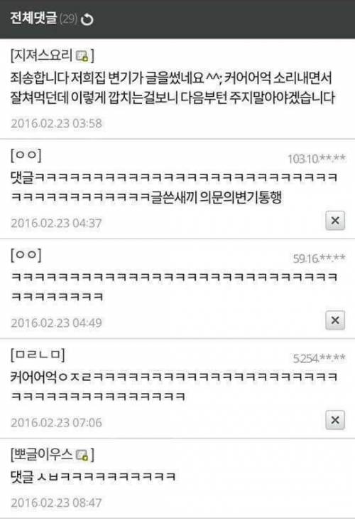 허언증갤러리의 역관광