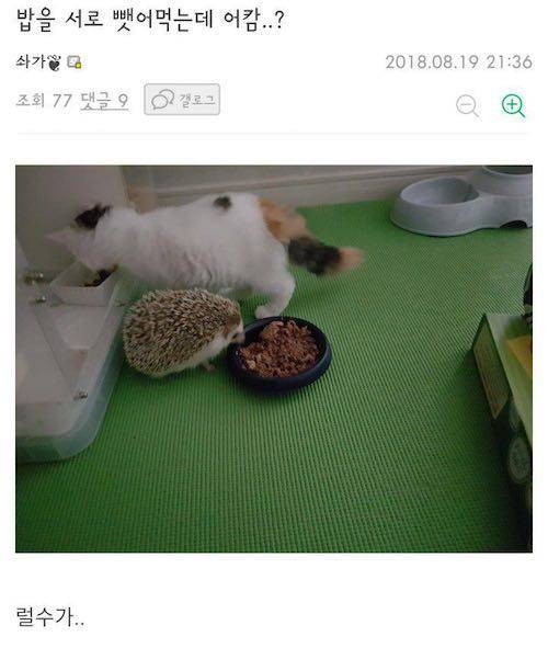 특이점이 온 입맛.jpg